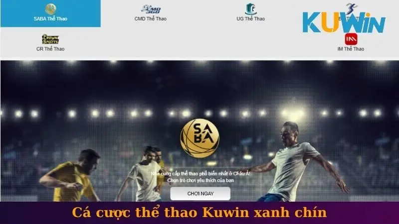 Cá cược thể thao Kuwin xanh chín