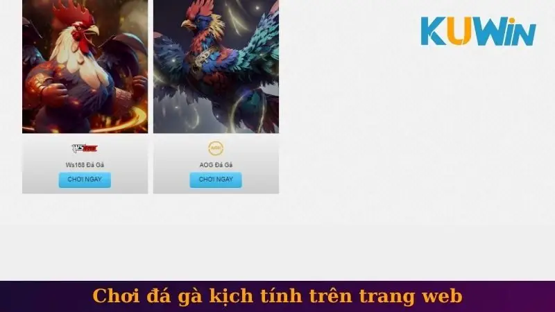 Chơi đá gà kịch tính trên trang web