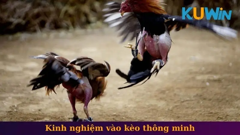 Kinh nghiệm vào kèo thông minh