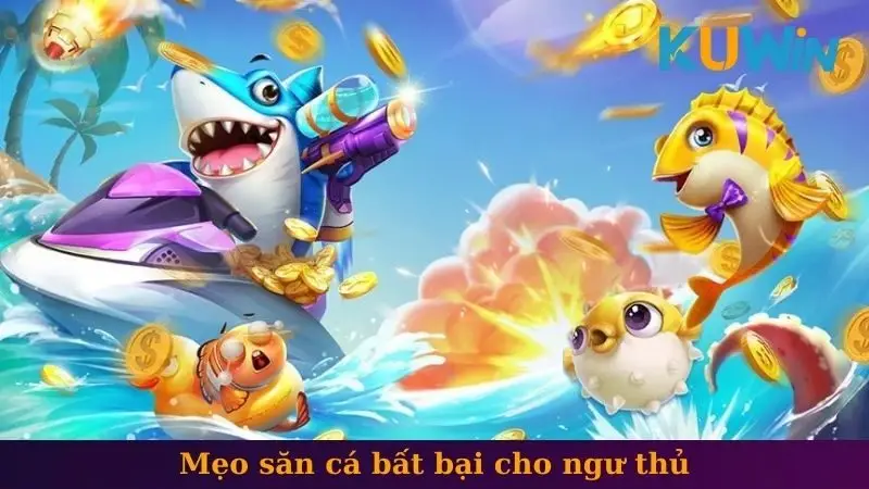 Mẹo săn cá bất bại cho ngư thủ