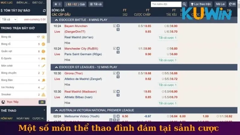 Một số môn thể thao đình đám tại sảnh cược