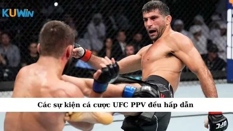 Các sự kiện cá cược UFC PPV đều hấp dẫn