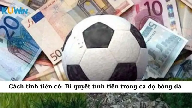 Cách tính tiền cỏ