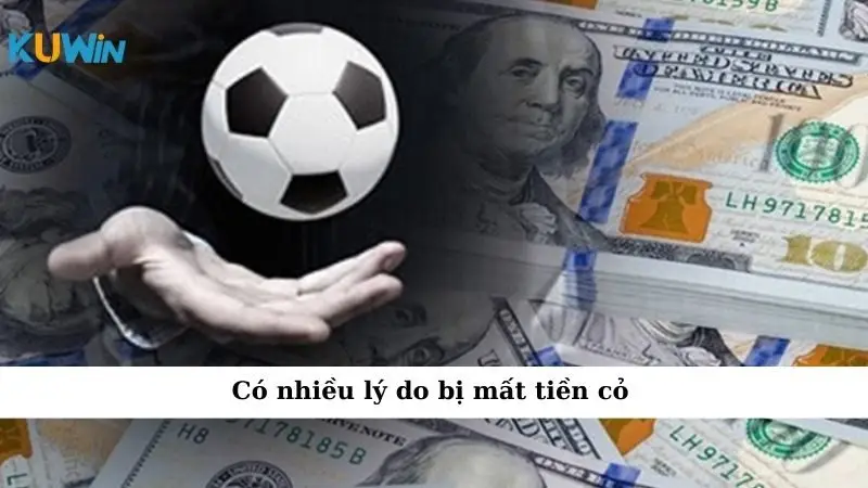 Có nhiều lý do bị mất tiền cỏ
