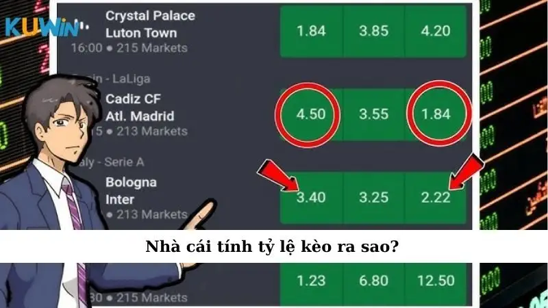 Nhà cái tính tỷ lệ kèo ra sao?