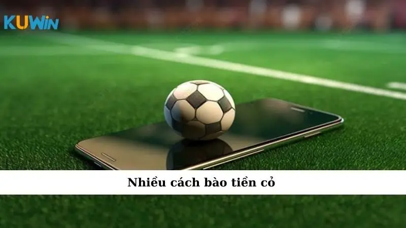 Nhiều cách bào tiền cỏ