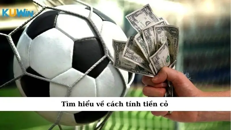 Tìm hiểu về cách tính tiền cỏ