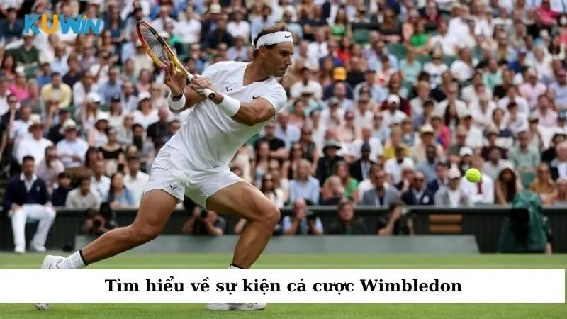 Tìm hiểu về sự kiện cá cược Wimbledon
